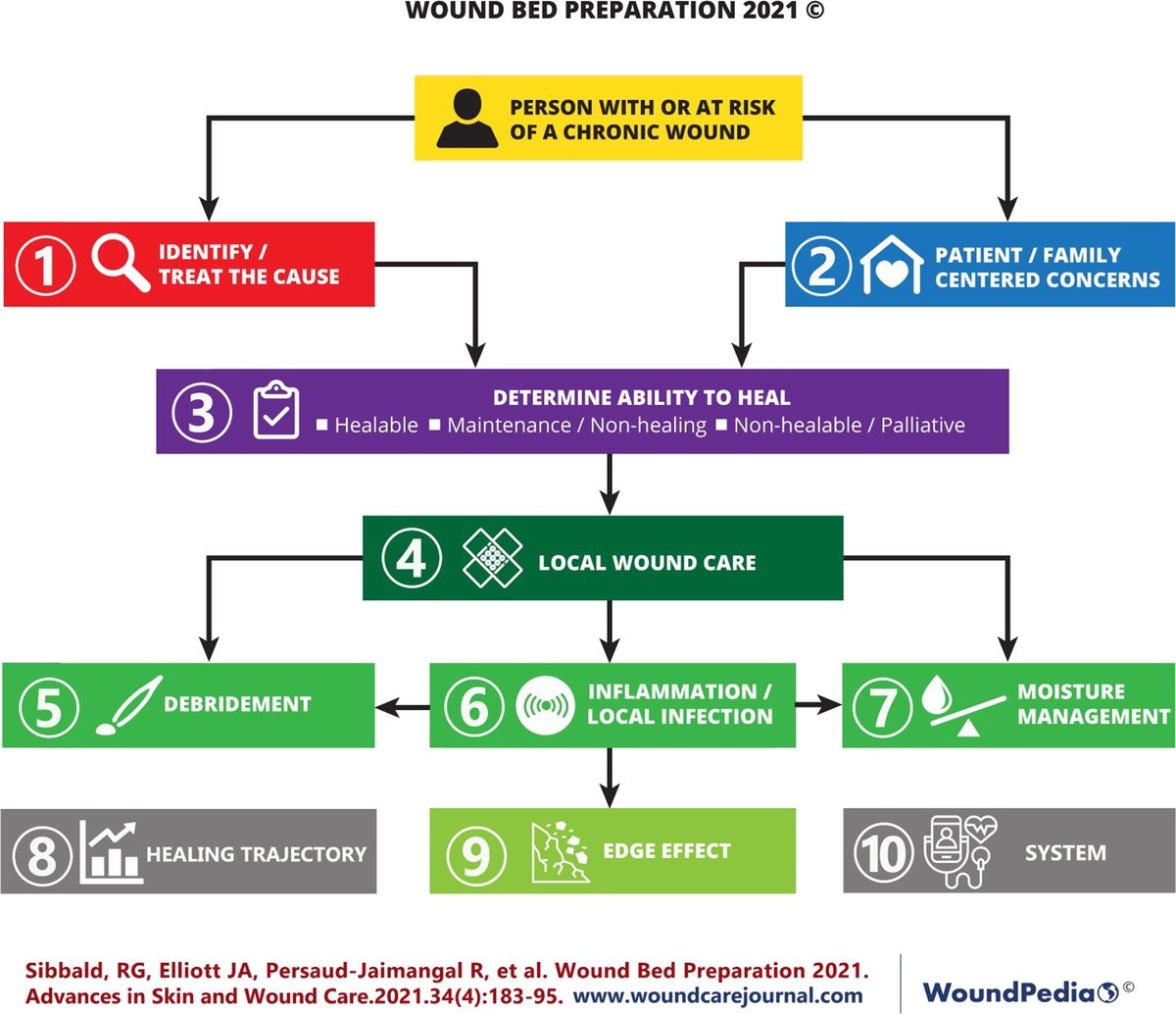 Debridement: Technical Considerations and Treatment Options for the Interprofessional Team