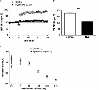 Long-term potentiation and spatial memory training stimulate the hippocampal expression of RyR2 calcium release channels