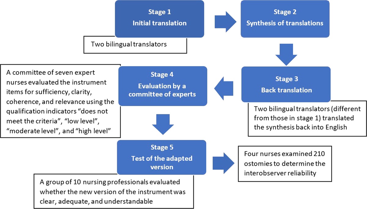 Cultural Adaptation, Content Validation, and Reliability of the SACS 2.0 Instrument for Colombian Spanish