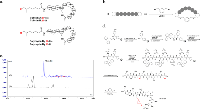 Design, synthesis and antibacterial activity of novel colistin derivatives with thioether bond-mediated cyclic scaffold