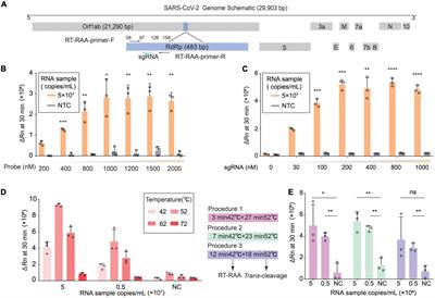 CDetection.v2: One-pot assay for the detection of SARS-CoV-2