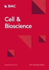 Overexpression of HSF2 binding protein suppresses endoplasmic reticulum stress via regulating subcellular localization of CDC73 in hepatocytes