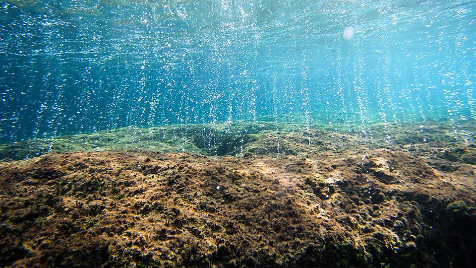 Study demonstrates reductions in CO₂ could boost the recovery of marine life