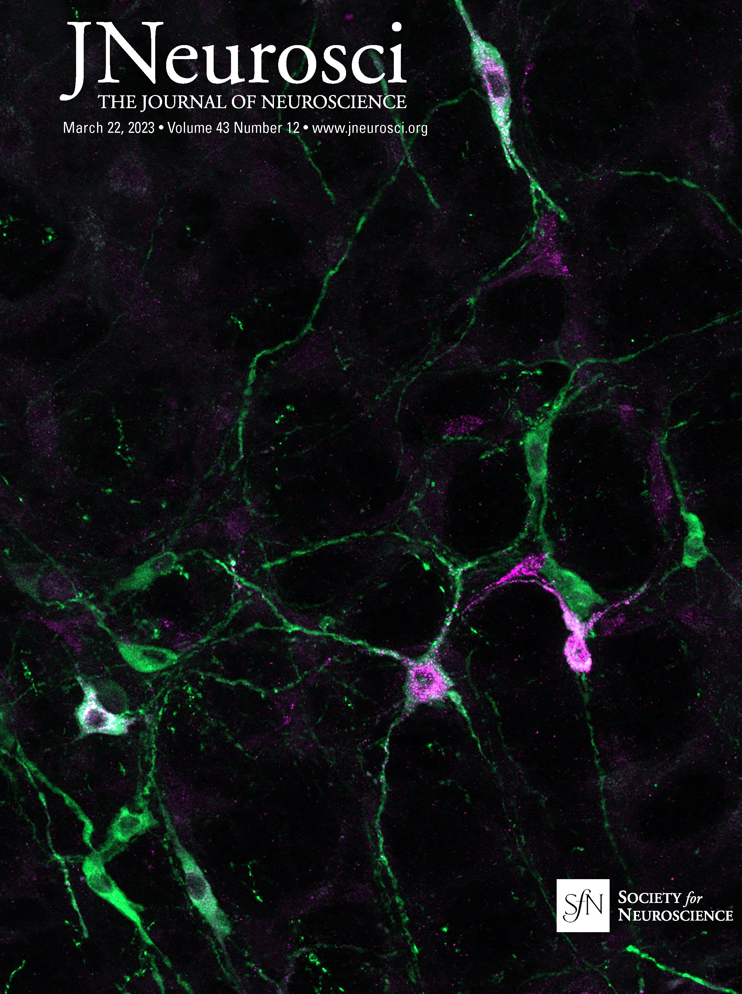 Statistical Learning of Distractor Suppression Downregulates Prestimulus Neural Excitability in Early Visual Cortex