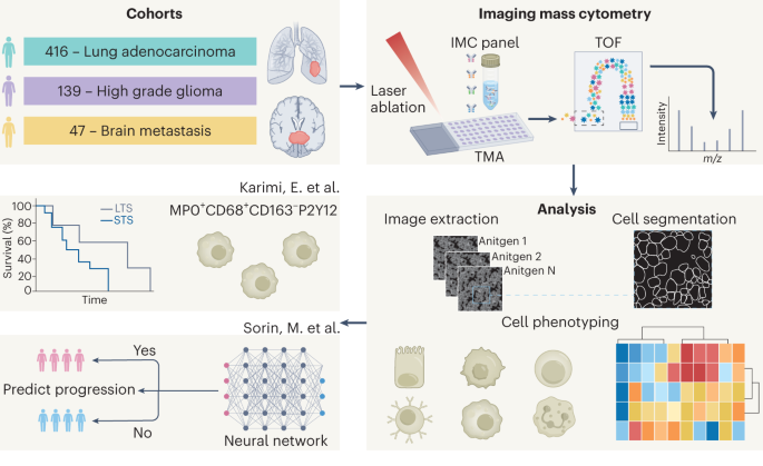Spatial proteomics of tumor microenvironments reveal why location matters