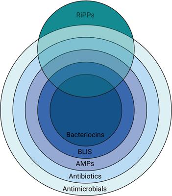 Beneficial modulation of human health in the oral cavity and beyond using bacteriocin-like inhibitory substance-producing streptococcal probiotics