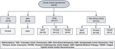 Management of acute aortic syndrome with evolving individualized precision medicine solutions: Lessons learned over two decades and literature review