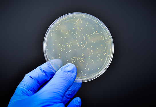 New treatment for invasive fungal infection candidiasis approved by FDA