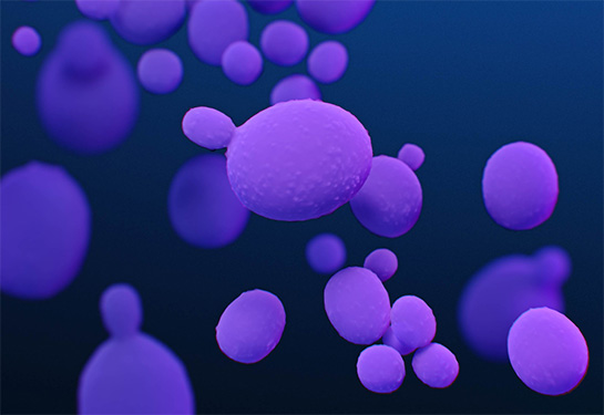 CDC issues warning about increase of drug-resistant Candida auris infections
