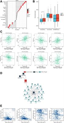 Identification of novel prognostic biomarkers in the TF-enhancer-target regulatory network in hepatocellular carcinoma and immune infiltration analysis