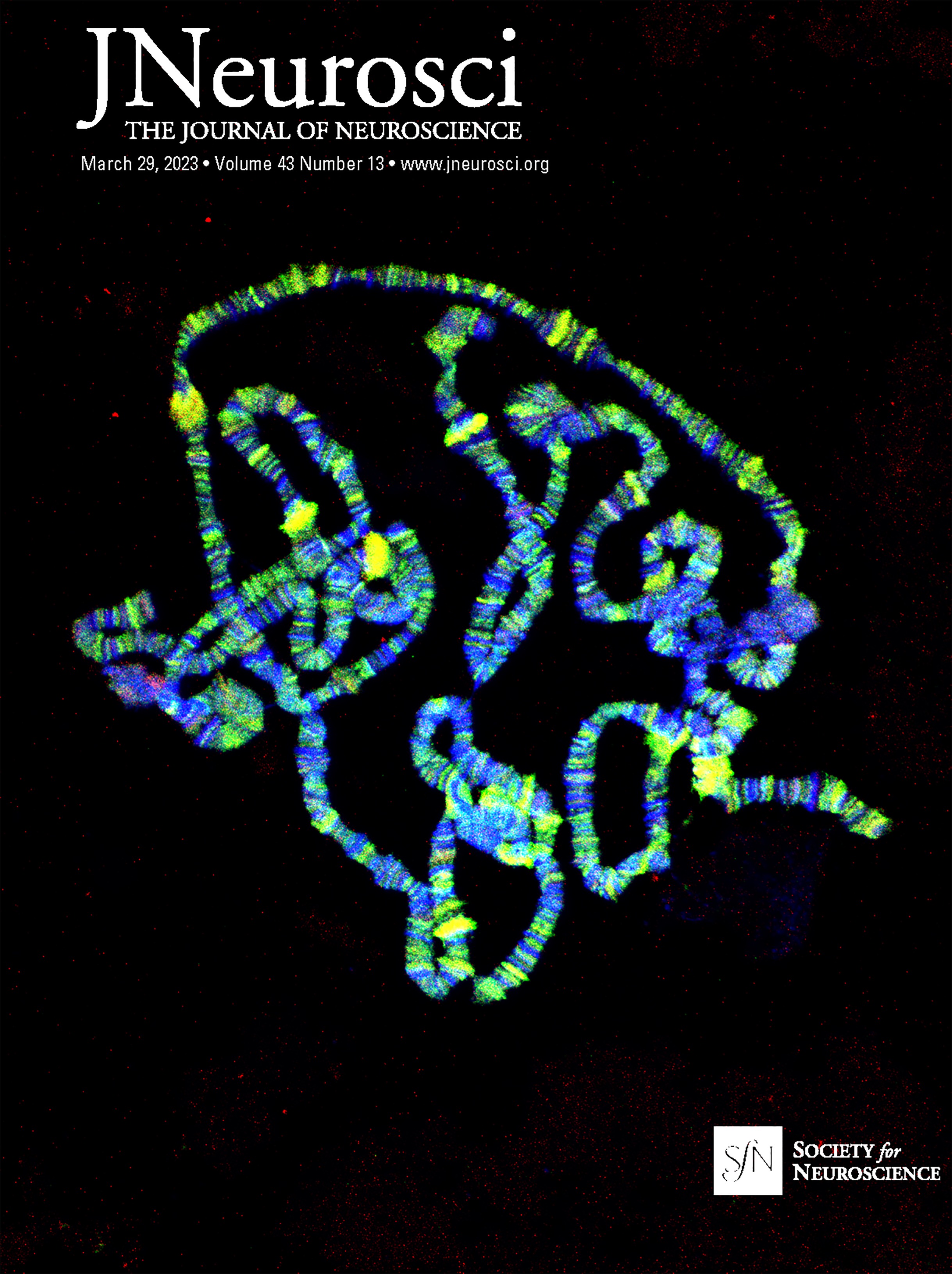 Transient and Sustained Ganglion Cell Light Responses Are Differentially Modulated by Intrinsically Produced Reactive Oxygen Species Acting upon Specific Voltage-Gated Na+ Channel Isoforms