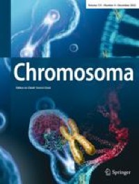 Establishment and inheritance of minichromosomes from Arabidopsis haploid induction
