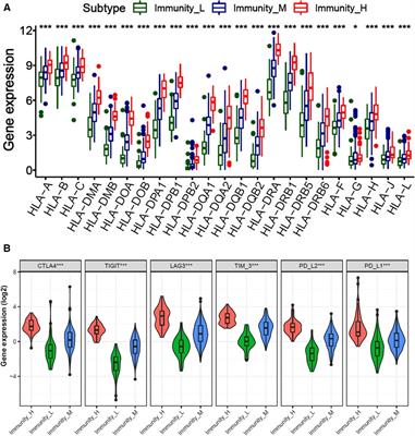 Construction and validation of a prognosis signature based on the immune microenvironment in gastric cancer