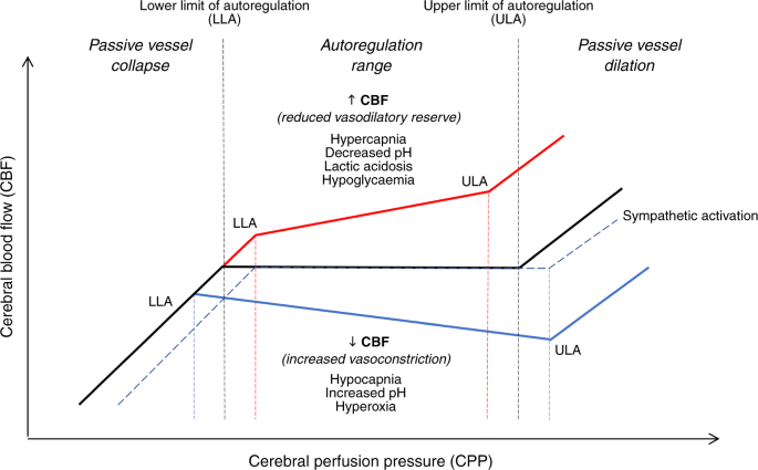 Near-infrared spectroscopy monitoring of neonatal cerebrovascular reactivity: where are we now?