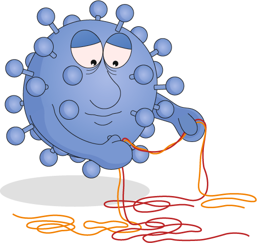 SARS-CoV-2 rewires host chromatin