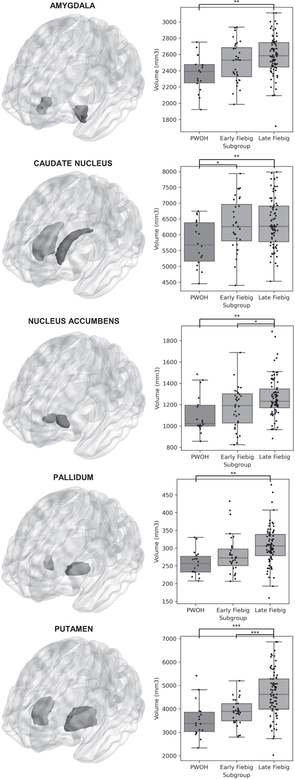Brain volumetrics differ by Fiebig stage in acute HIV infection