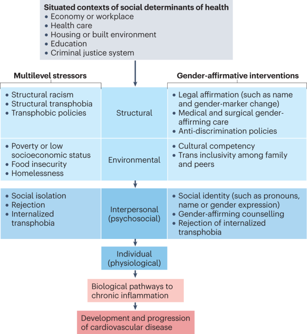 Improving the cardiovascular health care of transgender and non-binary persons