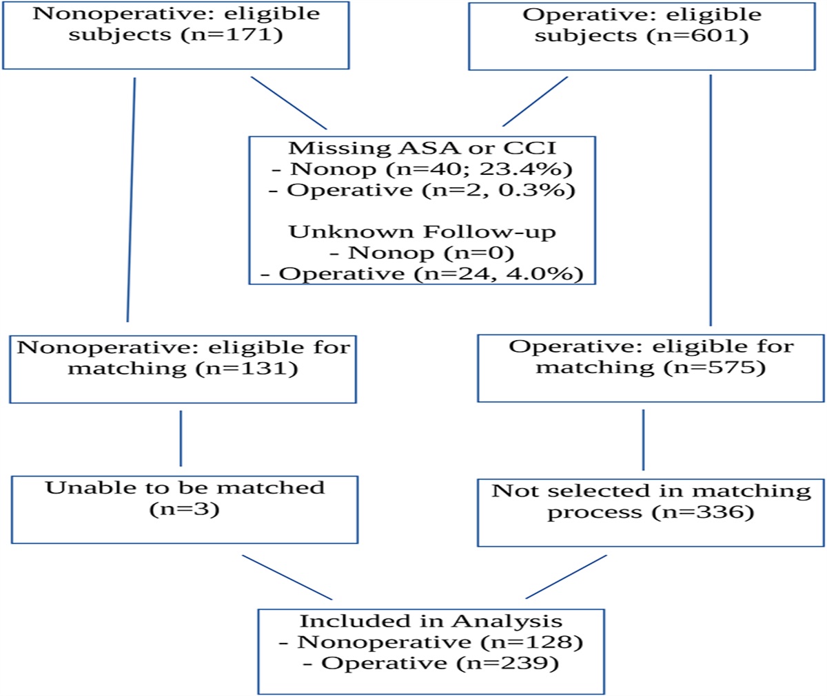 Mortality Rates After Nonoperative Geriatric Hip Fracture Treatment: A Matched Cohort Analysis