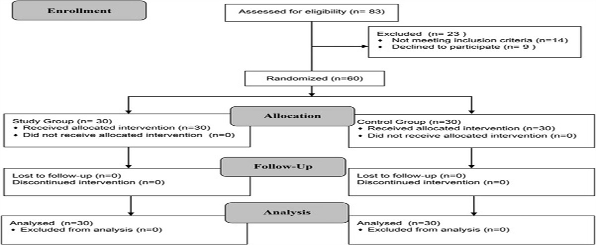 The Effect of Foot Massage Applied to Patients With Congestive Heart Failure on Peripheral Edema and Sleep Quality: A Randomized Controlled Study