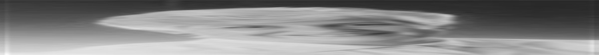 Holism and Digitalism: The Convergence