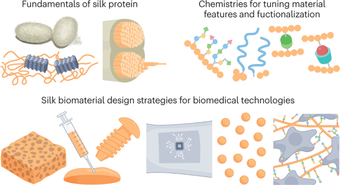 Silk chemistry and biomedical material designs