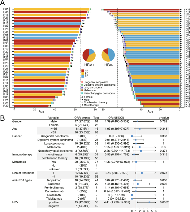 Anti-PD-1 therapy achieves favorable outcomes in HBV-positive non-liver cancer