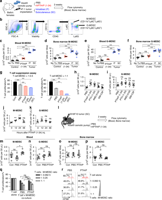 Mobilization of monocytic myeloid-derived suppressor cells is regulated by PTH1R activation in bone marrow stromal cells