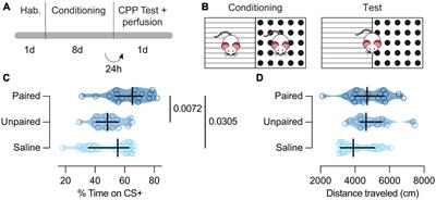 Neural correlates of cocaine-induced conditioned place preference in the posterior cerebellar cortex