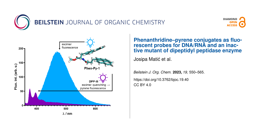 Phenanthridine–pyrene conjugates as fluorescent probes for DNA/RNA and an inactive mutant of dipeptidyl peptidase enzyme