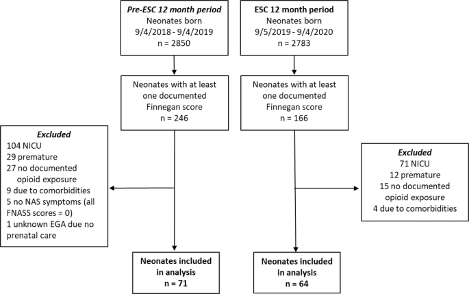 Assessing the Eat, Sleep, Console model for neonatal abstinence syndrome management at a regional referral center