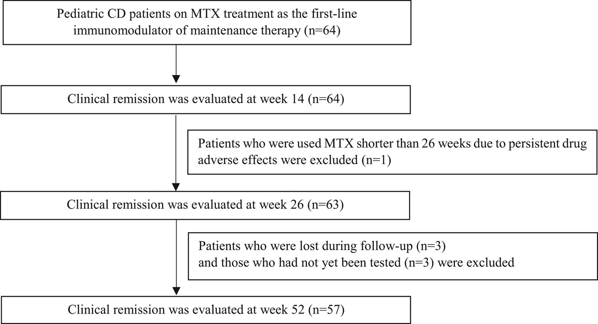 The Effectiveness and Safety of Methotrexate as the First-Line Immunomodulator of Maintenance Therapy in Pediatric Crohn Disease