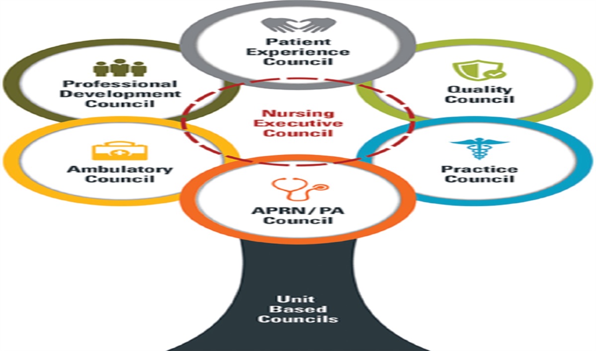 Stronger together: PA and APRN shared governance council drives transformational change