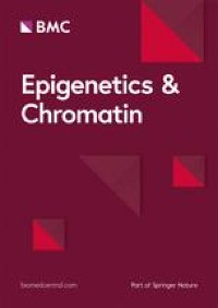 Epigenetic modifier alpha-ketoglutarate modulates aberrant gene body methylation and hydroxymethylation marks in diabetic heart