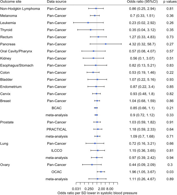 Genetic proxies for calcium channel blockers and cancer: a Mendelian randomization study