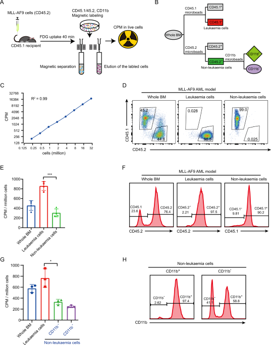 Glucose partitioning in the bone marrow micro-environment in acute myeloid leukaemia