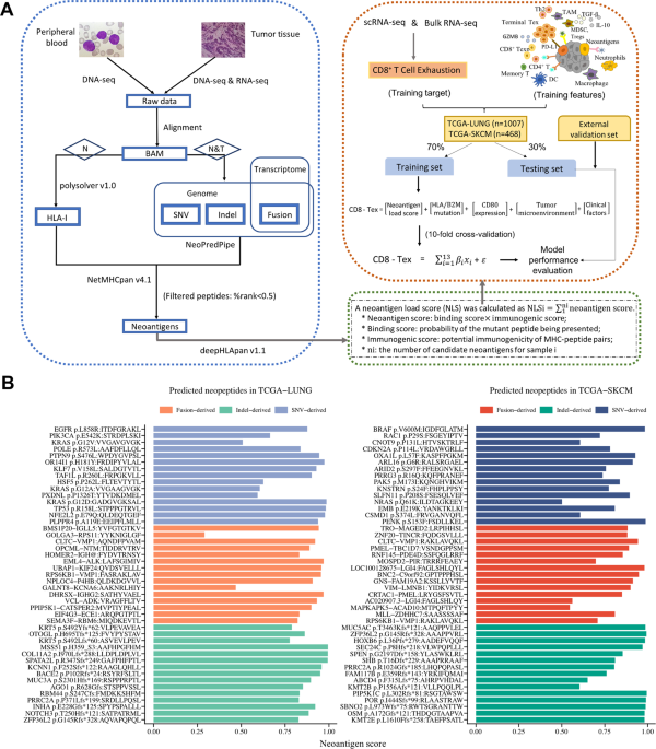 A novel integrated approach to predicting cancer immunotherapy efficacy