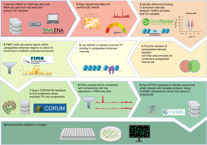 In silico enhancer mining reveals SNS-032 and EHMT2 inhibitors as therapeutic candidates in high-grade serous ovarian cancer