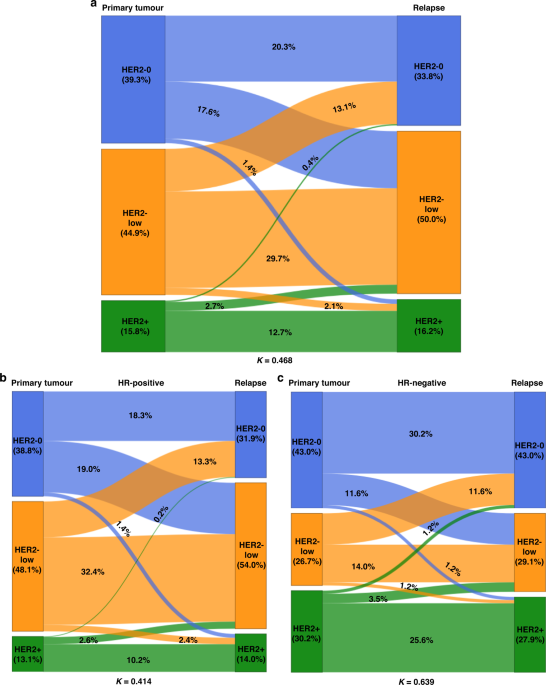 Anticipating changes in the HER2 status of breast tumours with disease progression—towards better treatment decisions in the new era of HER2-low breast cancers