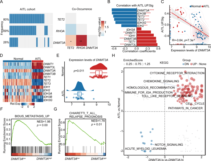 DNMT3AR882H accelerates angioimmunoblastic T-cell lymphoma in mice