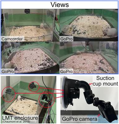Multi-view image-based behavior classification of wet-dog shake in Kainate rat model