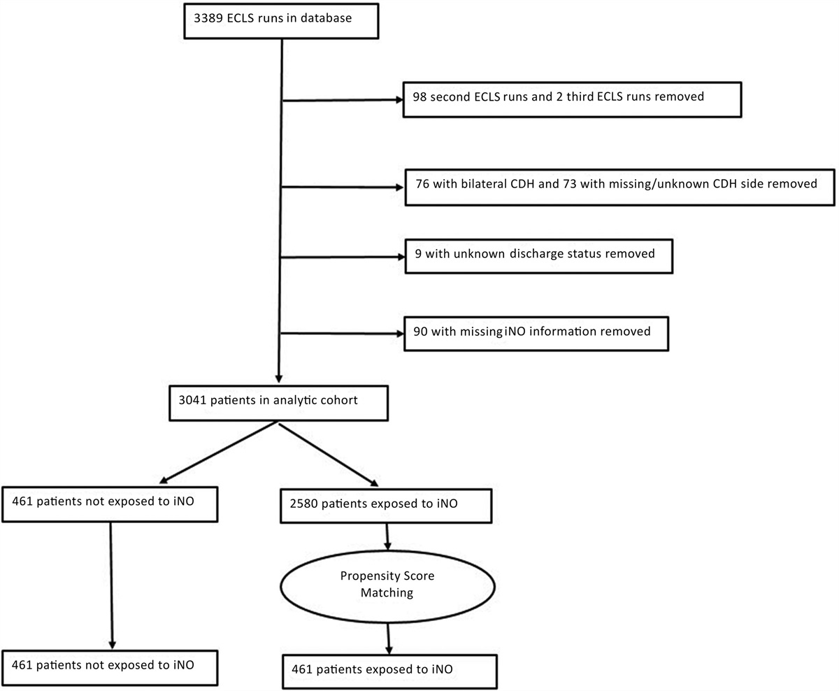 Inhaled Nitric Oxide Utilization in Congenital Diaphragmatic Hernia Treated With Extracorporeal Life Support: A Propensity Score Analysis