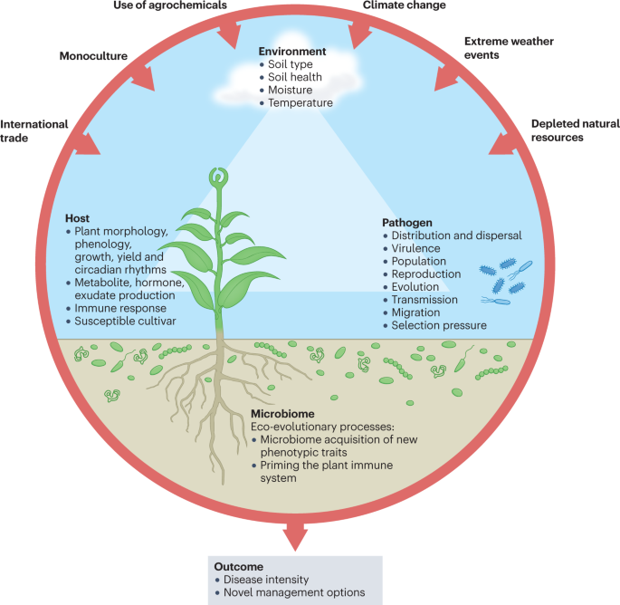 Climate change impacts on plant pathogens, food security and paths forward