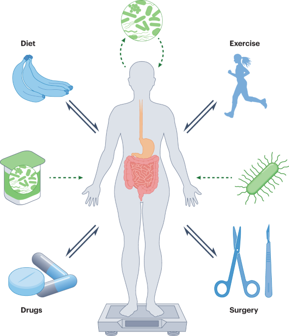 Roles of the gut microbiome in weight management