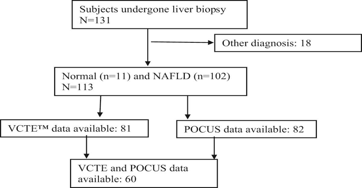 Accuracy of ultrasonographic fatty liver index using point-of-care ultrasound in stratifying non-alcoholic fatty liver disease patients