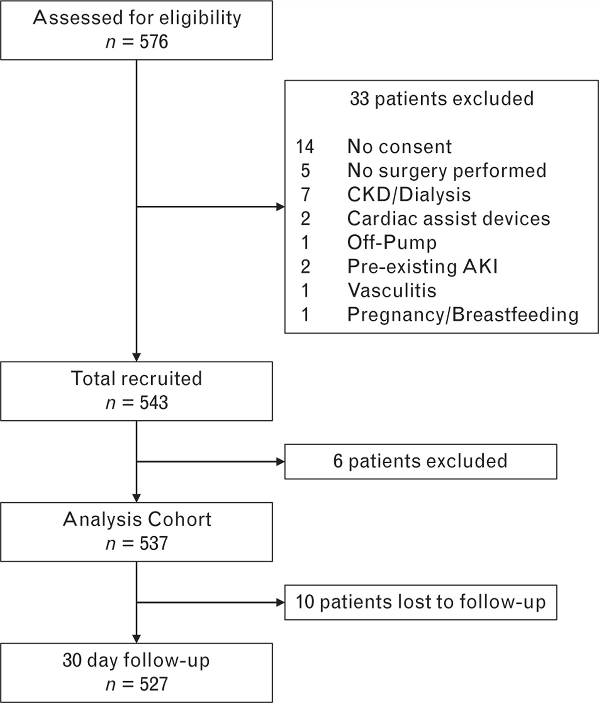 Implementation of the Kidney Disease Improving Global Outcomes guidelines for the prevention of acute kidney injury after cardiac surgery: An international cohort survey