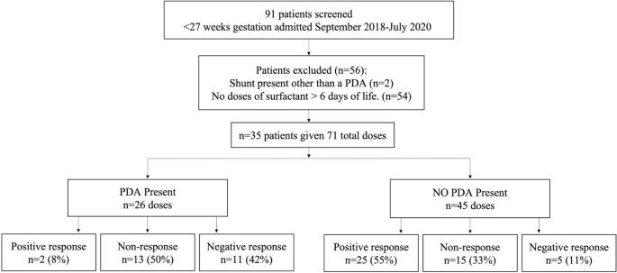 Patent ductus arteriosus (PDA) and response to late surfactant treatment in premature infants