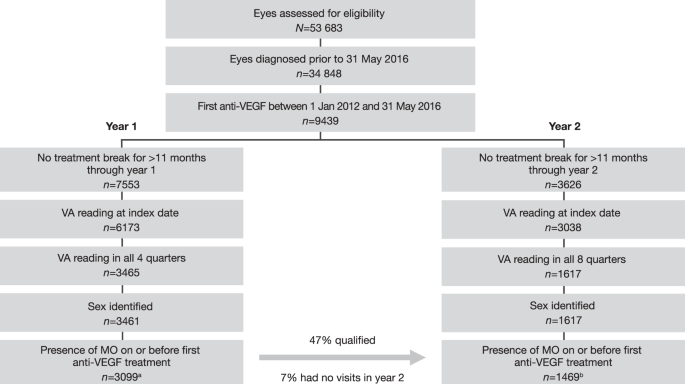 Anti-vascular endothelial growth factor dosing frequency and visual outcomes in macular oedema following branch retinal vein occlusion