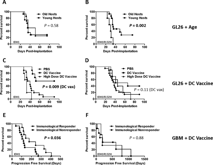 Glioma immunotherapy enhancement and CD8-specific sialic acid cleavage by isocitrate dehydrogenase (IDH)-1