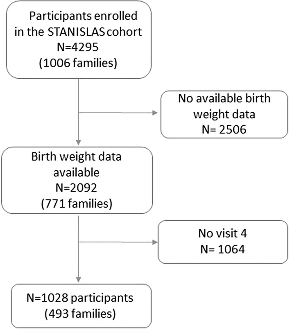Birth weight and subclinical cardiovascular and renal damage in a population-based study (the STANISLAS cohort study)