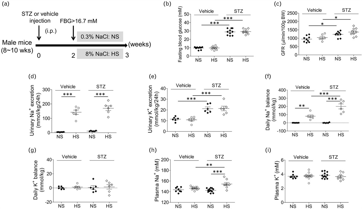Kir4.1 deletion prevents salt-sensitive hypertension in early streptozotocin-induced diabetic mice via Na+–Cl− cotransporter in the distal convoluted tubule